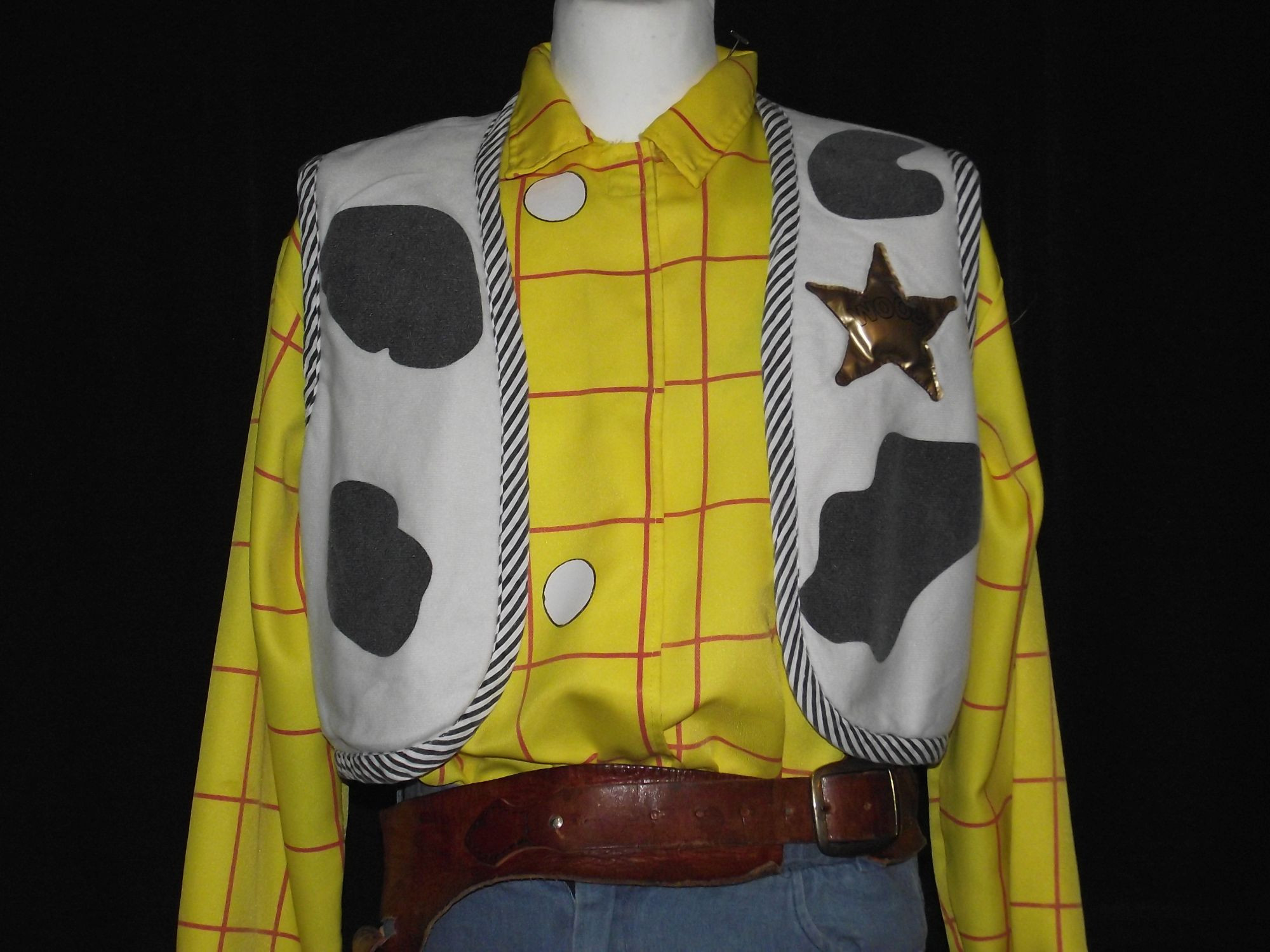 Toy Story Woody