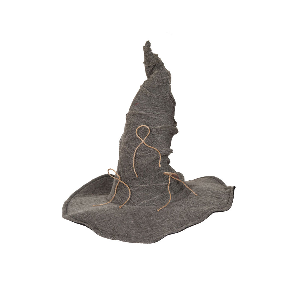 Old Wizards Hat